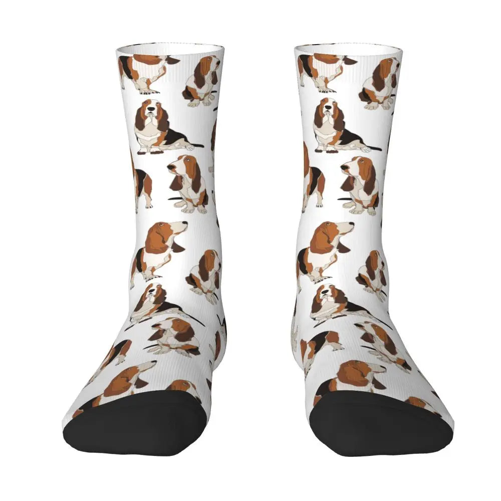 Basset Hound All Season Socks