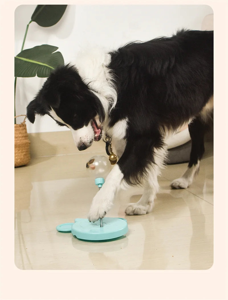 Pet Slow Feeder Toy