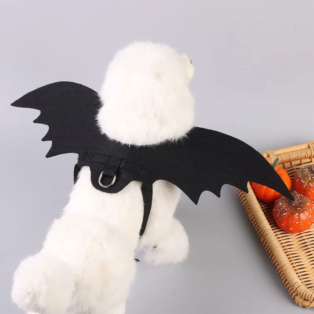 Pet Halloween Bat Costume