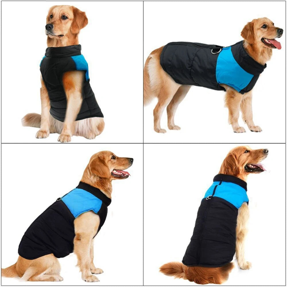 Golden Retriever Jackets For Winter