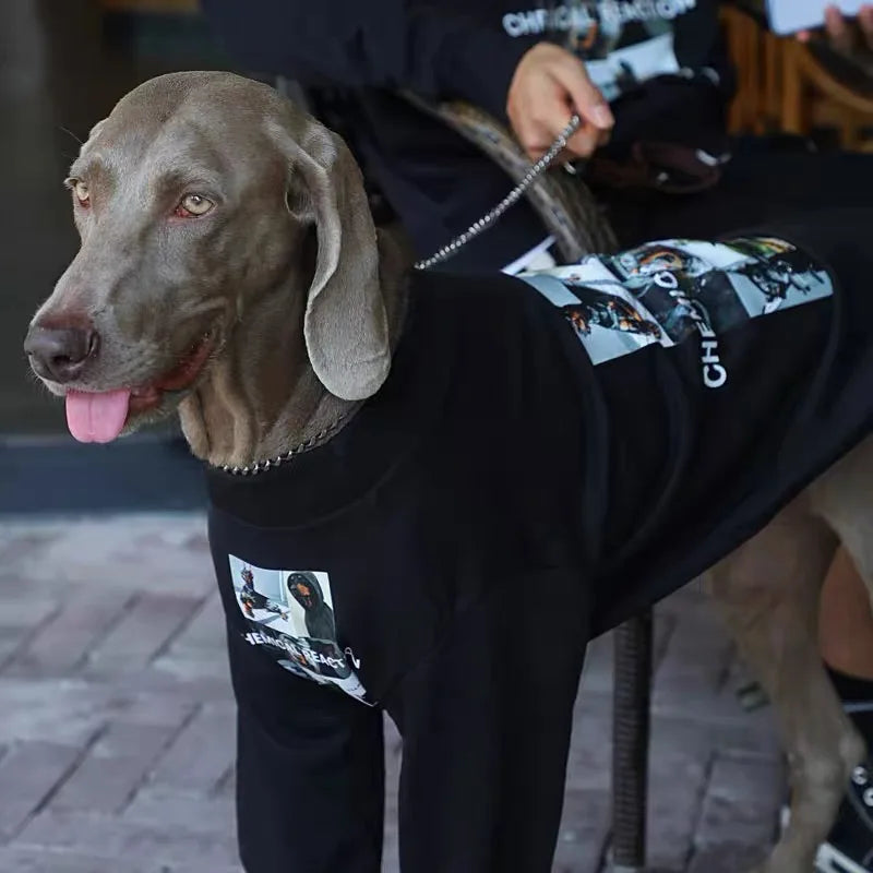 Weimaraner Warm Luxury Sweatshirt