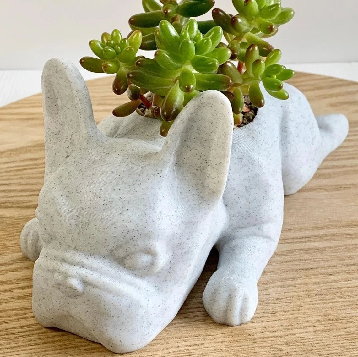 Cute Mini Frenchie Planter Pot