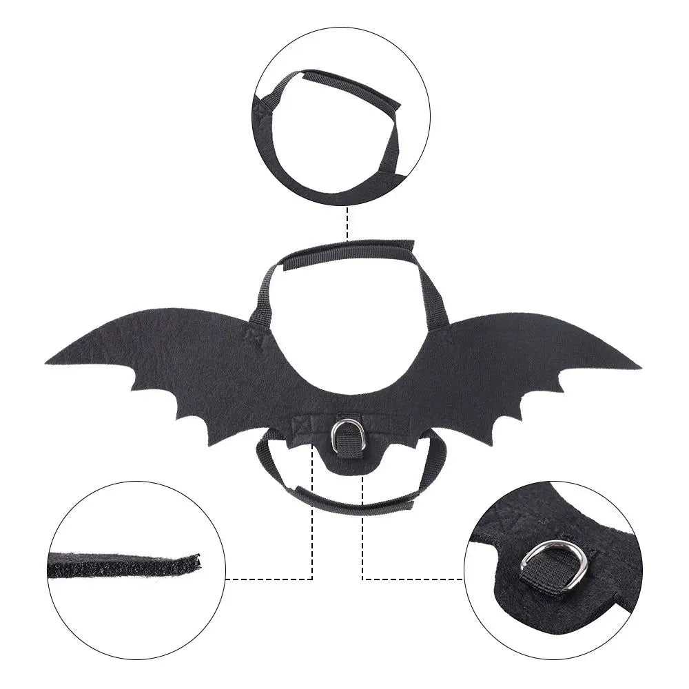 Pet Halloween Bat Costume