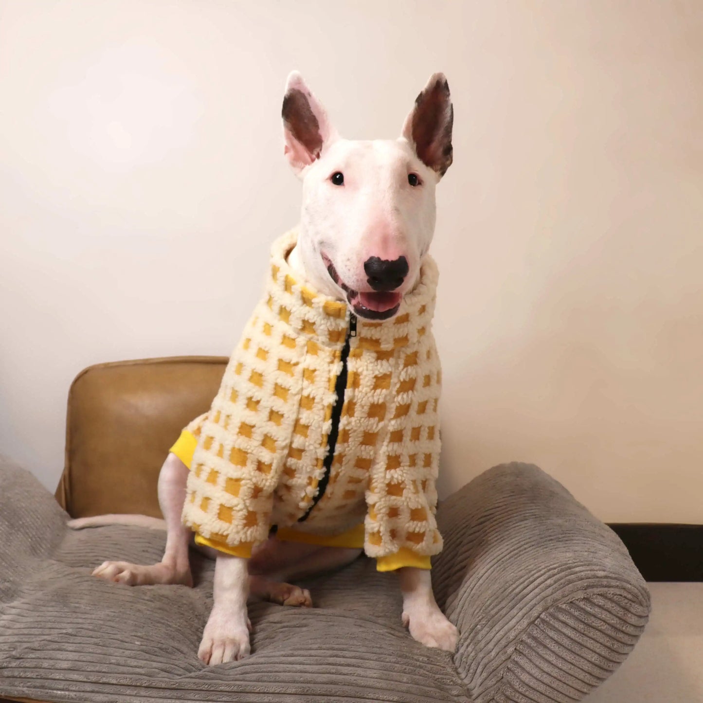 Bull Terrier Plaid Winter Sweater