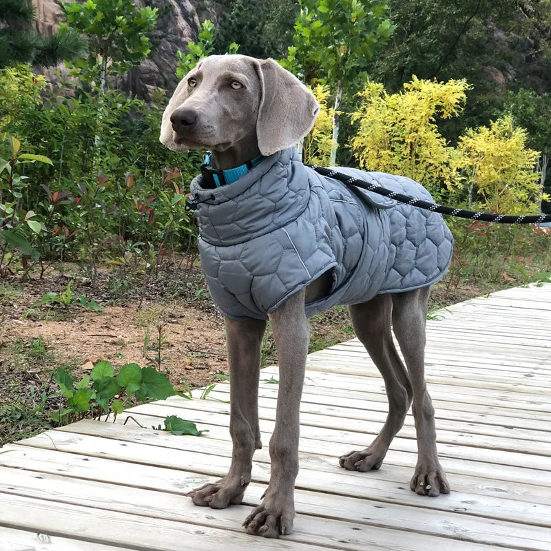 Weimaraner Winter Vest Coat