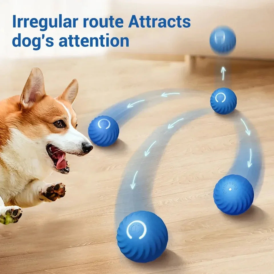 Dog Automatic Smart Ball Toy