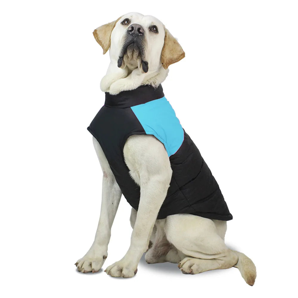 Labrador Winter Dog Jackets