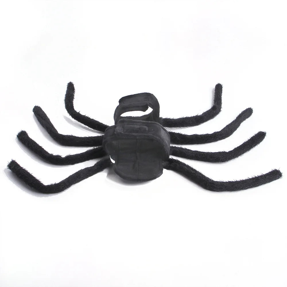 Dog  Halloween Spider Costume