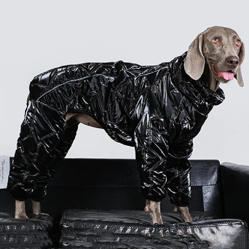 Weimaraner Thicken Warm Jumpsuit