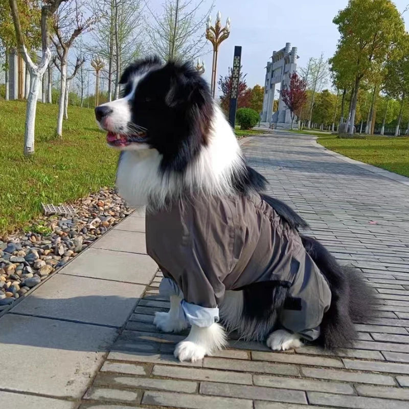 Border Collie Full Cover Raincoat