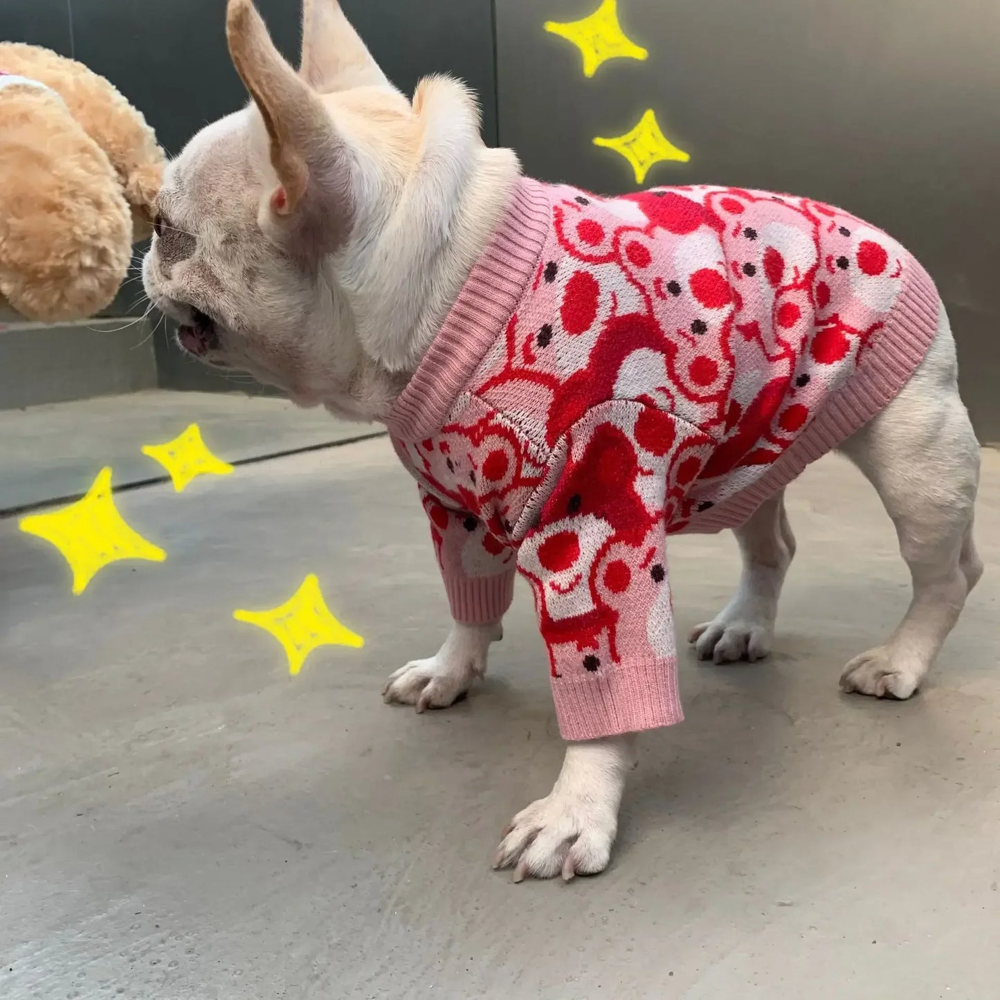 French Bulldog Winter Designer Outfits