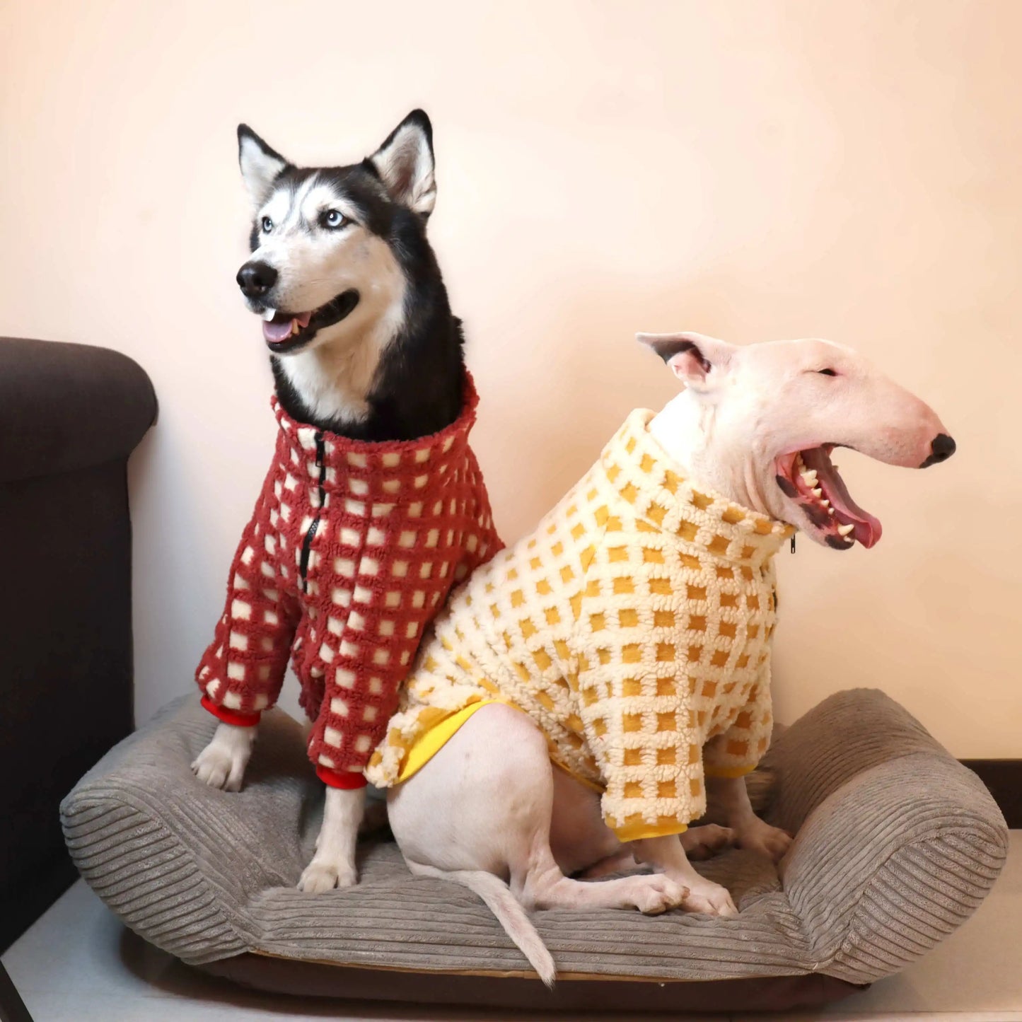 Bull Terrier Plaid Winter Sweater