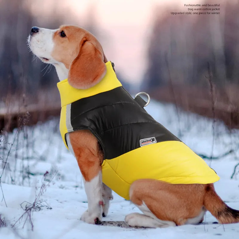 Beagle Warm Winter Jacket