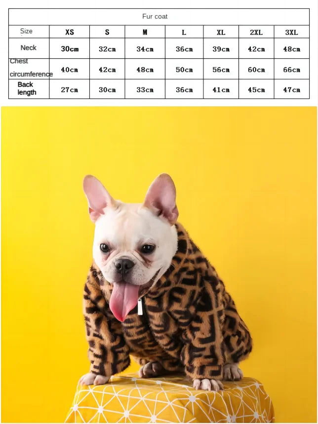 Frenchie Designer Winter Teddy Coat