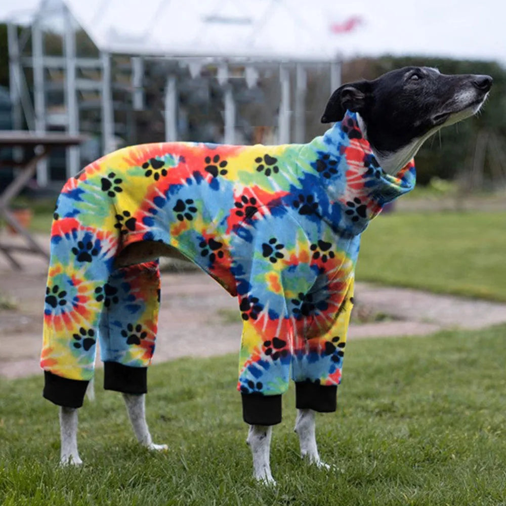 Whippet Paw Colorful Sweater