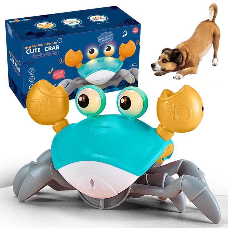 Crawling Crab Interactive Toy