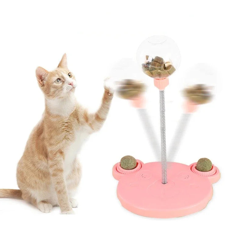 Pet Slow Feeder Toy