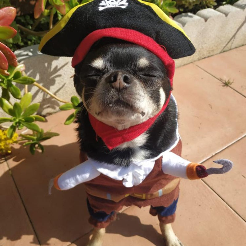 Pirate Dog Halloween Costume