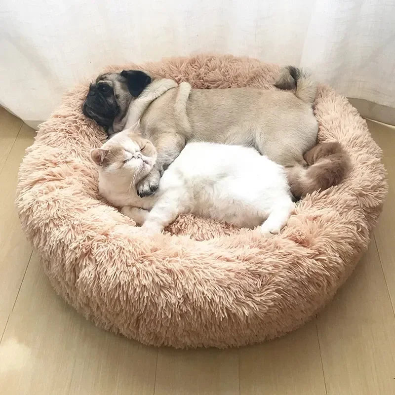 Comfy Dog Donut Bed