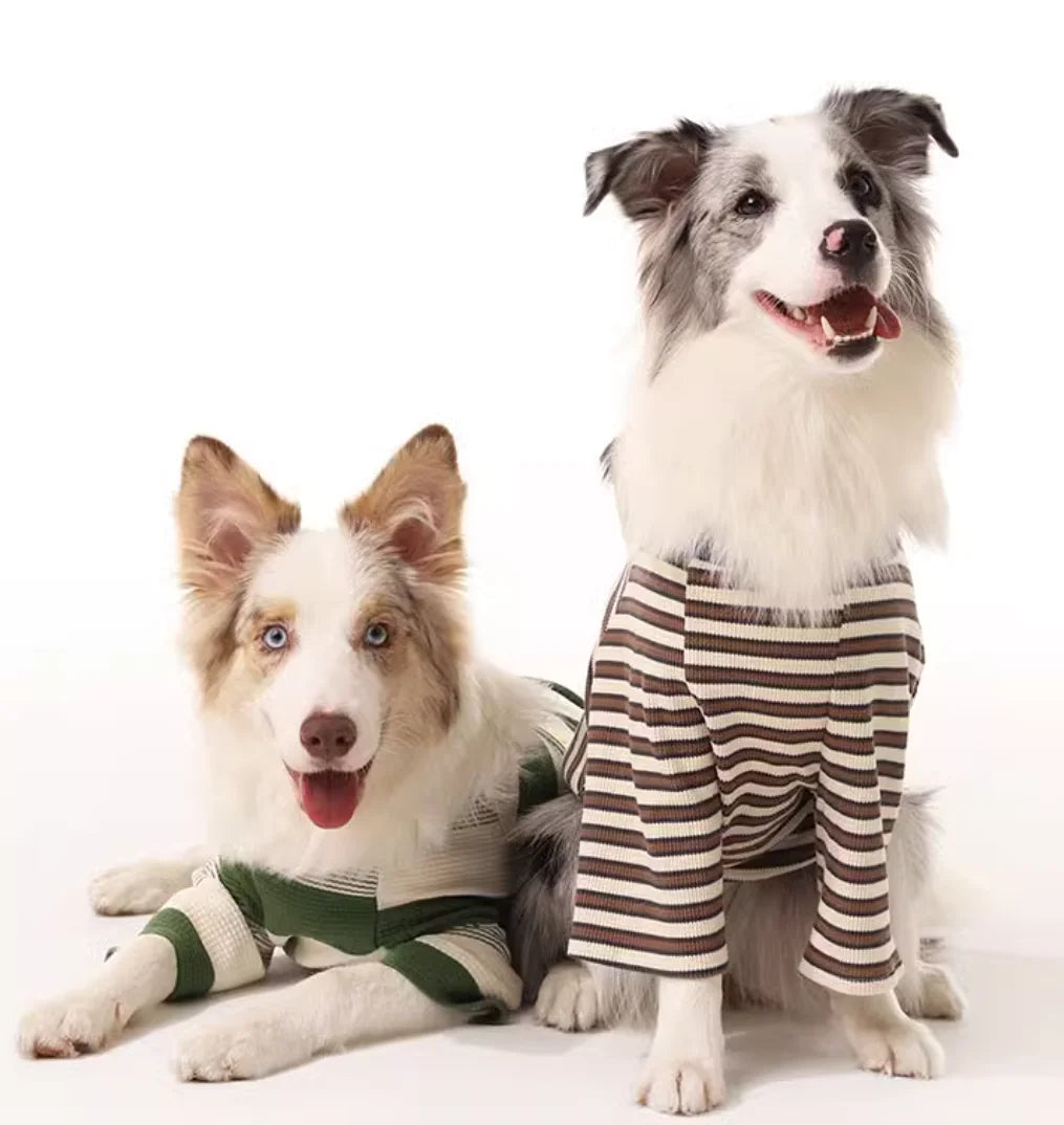 Border Collie Spring Winter Dress