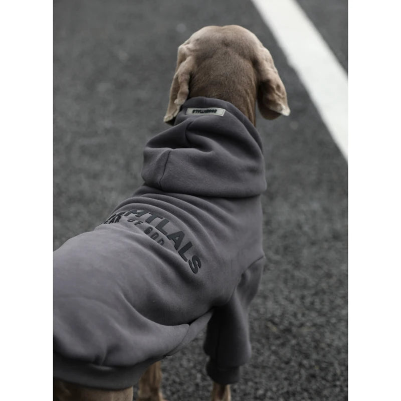 Weimaraner Fall Winter Hoodie