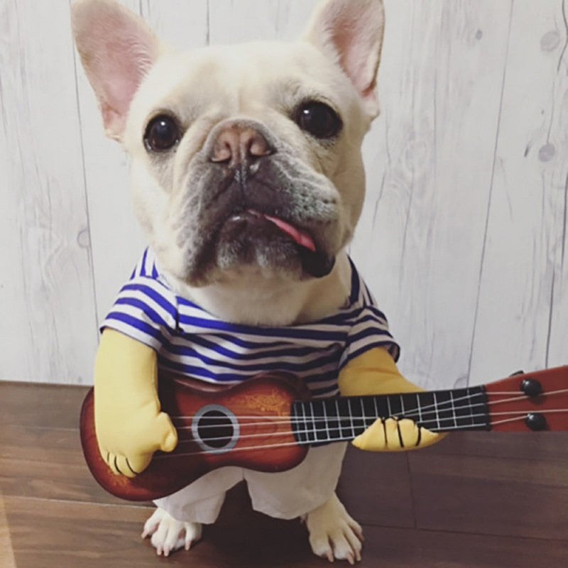 Guitarist Dog Halloween Costume