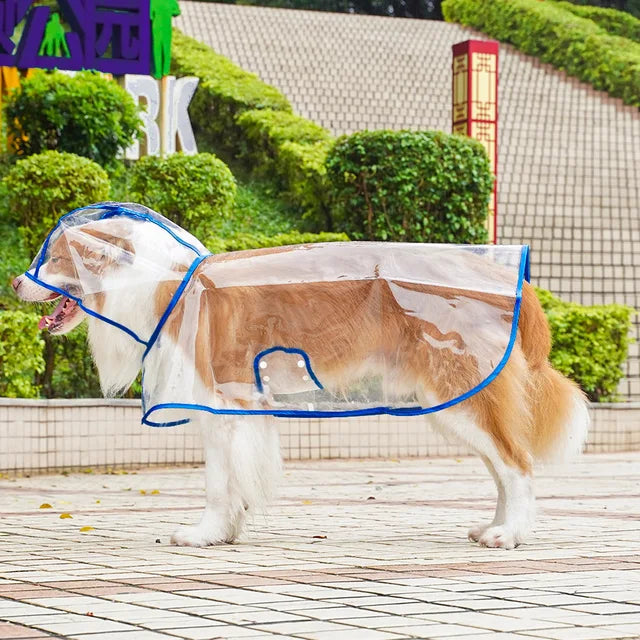 Transparent Dog Raincoat