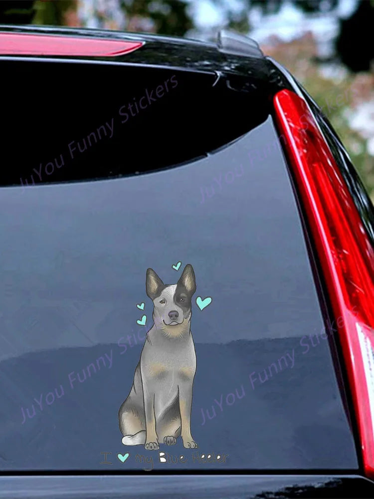 I Love My Blue Heeler Sticker