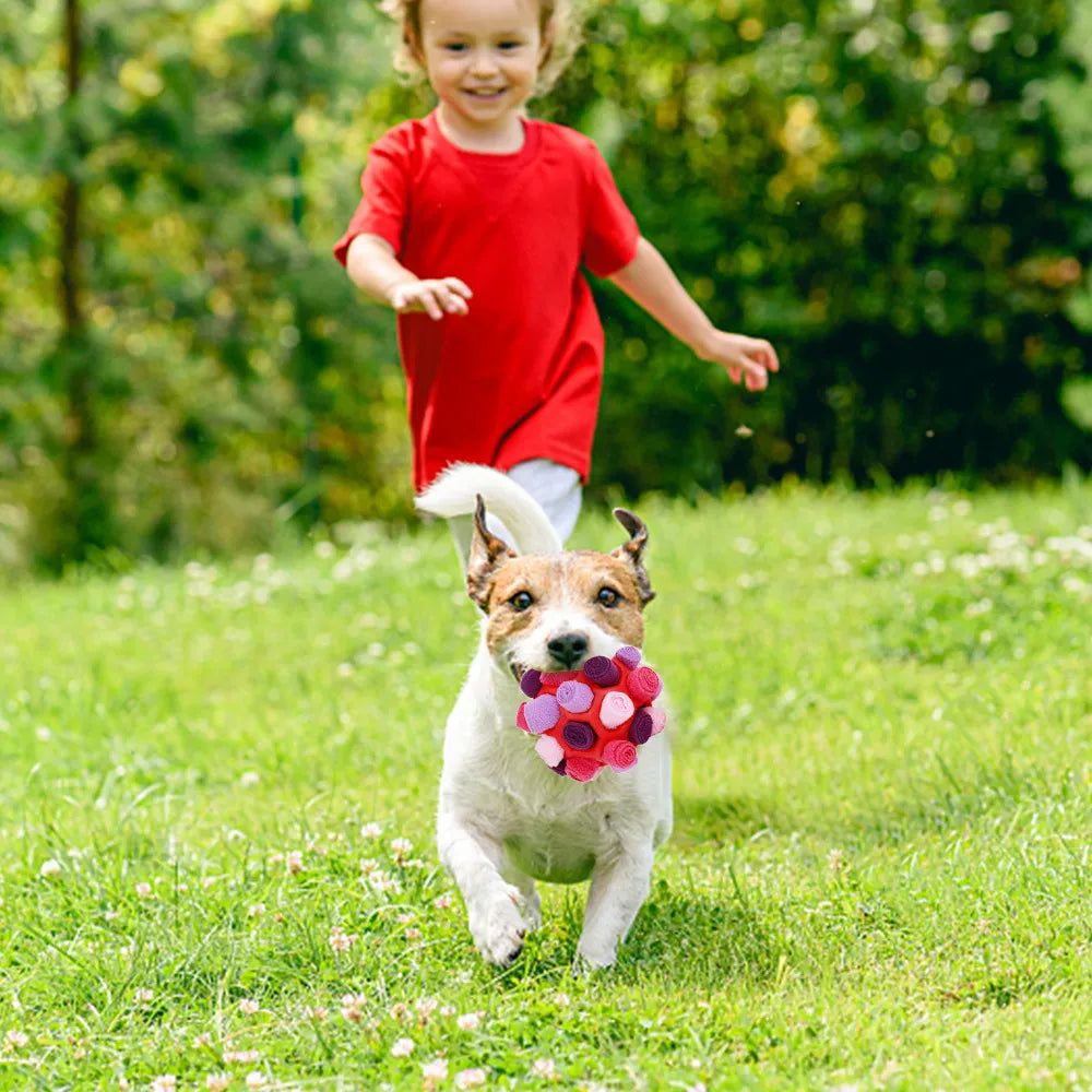 Dog Snuffle Ball Toys