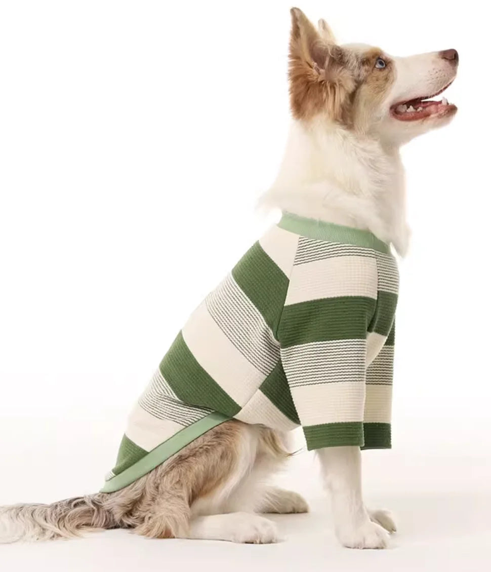 Border Collie Spring Winter Dress