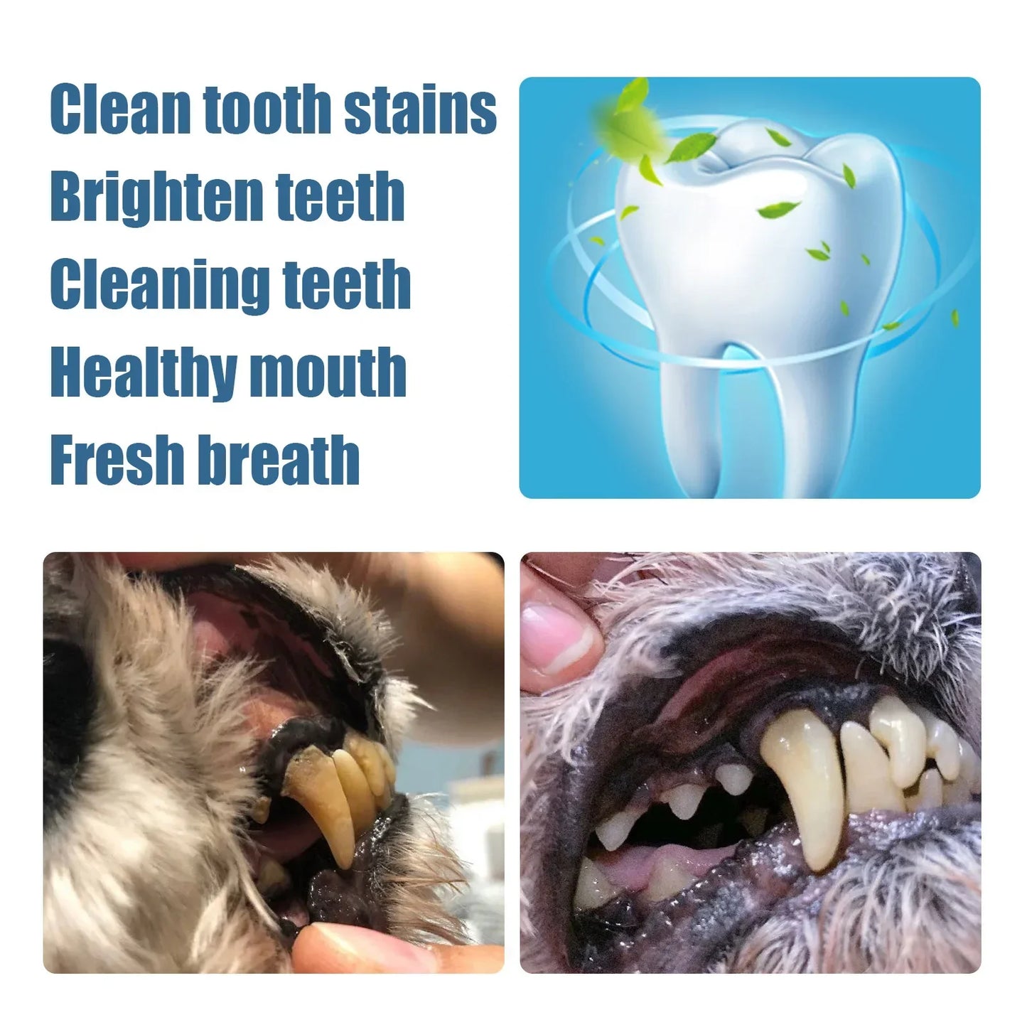 Pet Teeth Whitening Tartar Remover