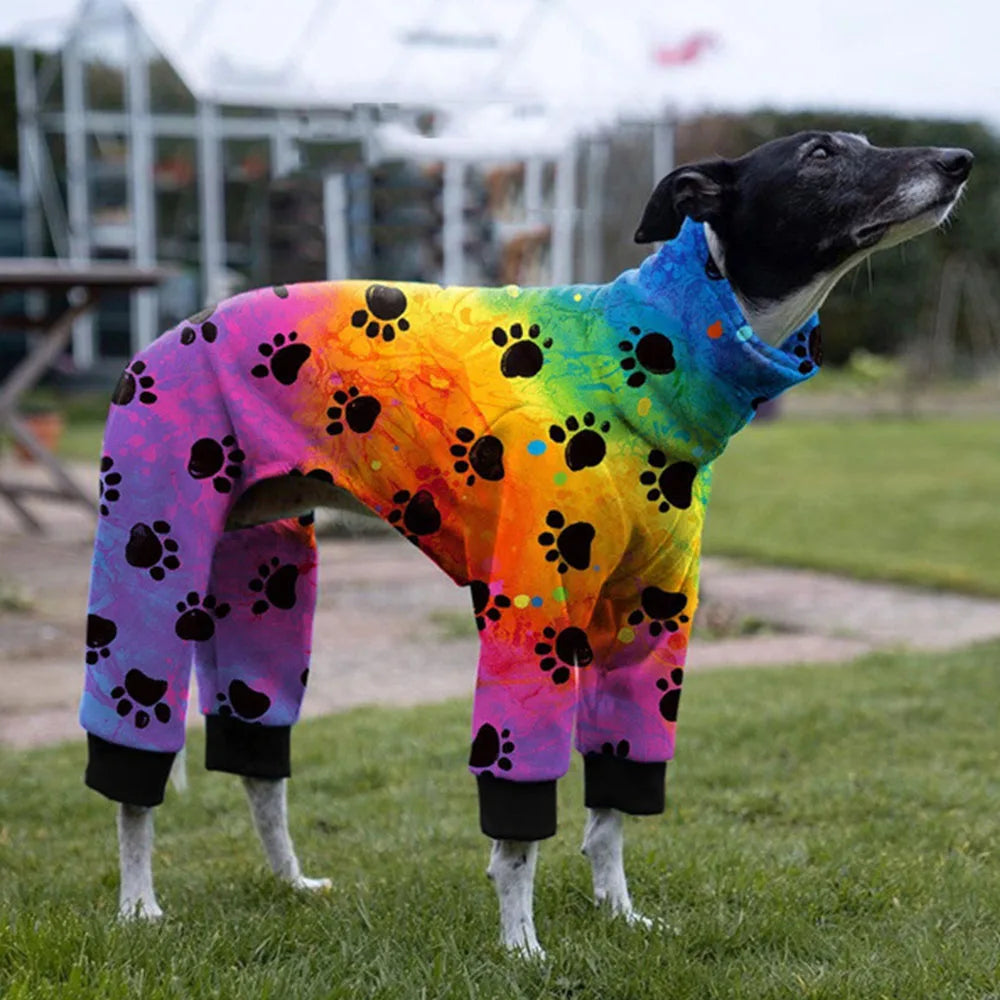 Whippet Paw Colorful Sweater