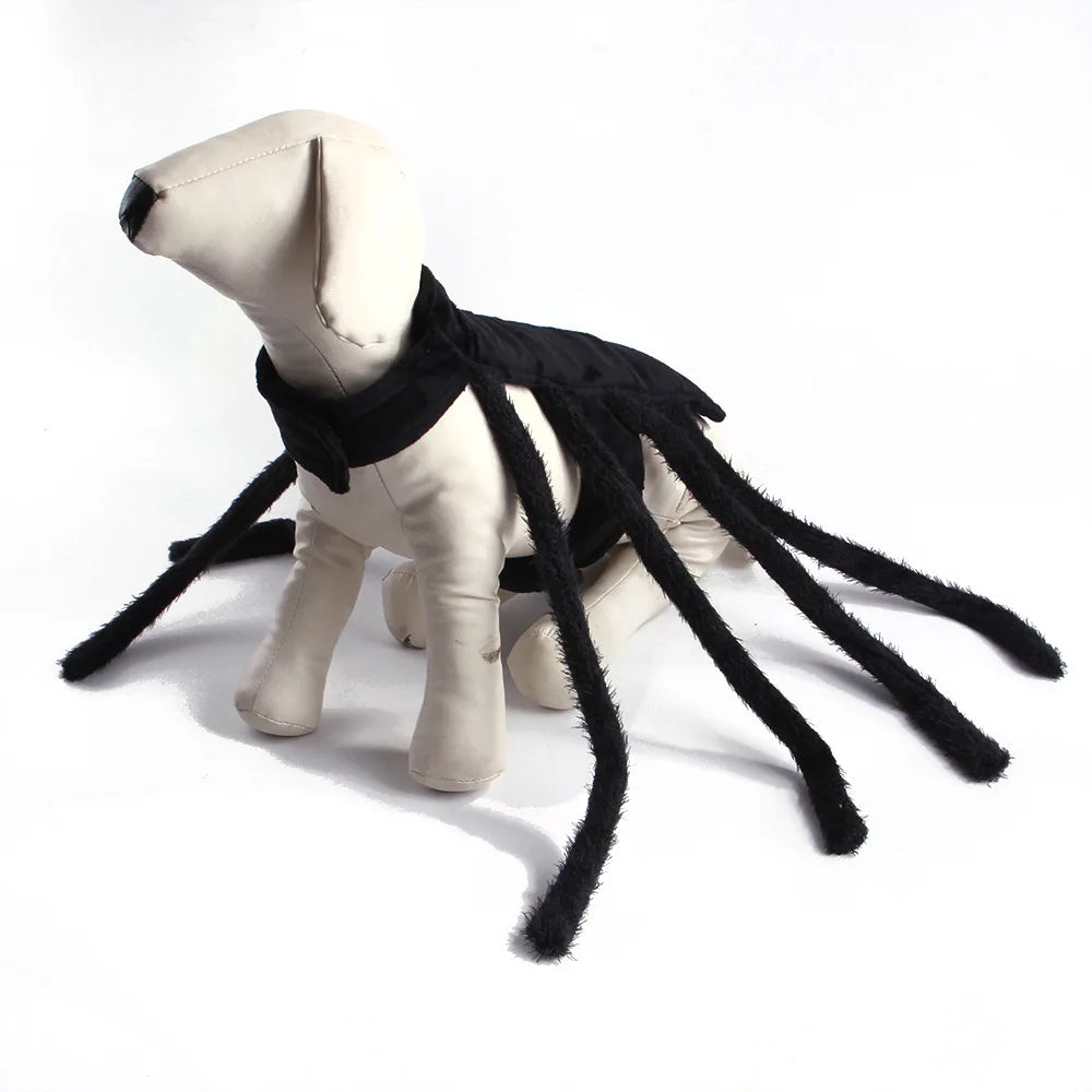 Dog  Halloween Spider Costume