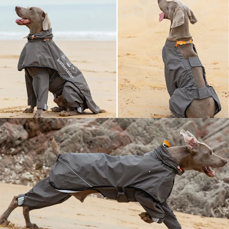 Waterproof Weimaraner Full Cover Raincoat