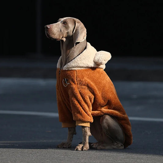 Weimaraner Cozy Winter Hoodie