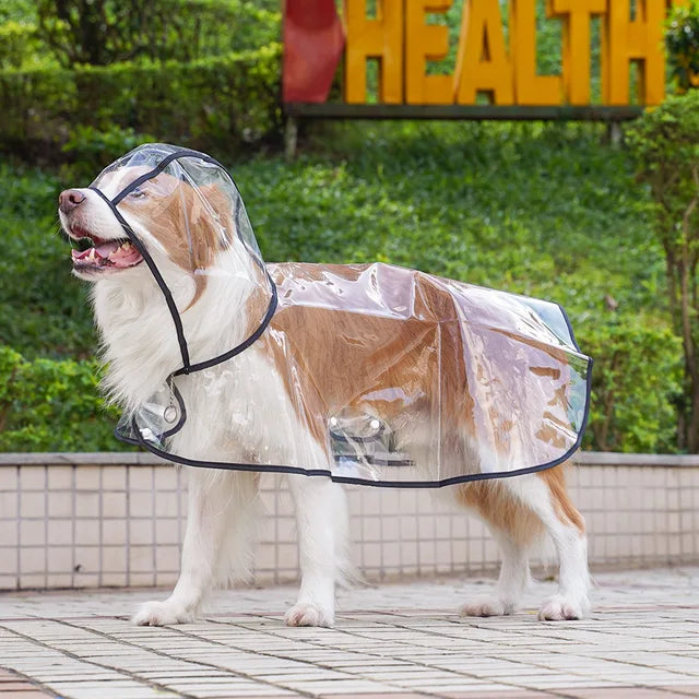 Transparent Dog Raincoat