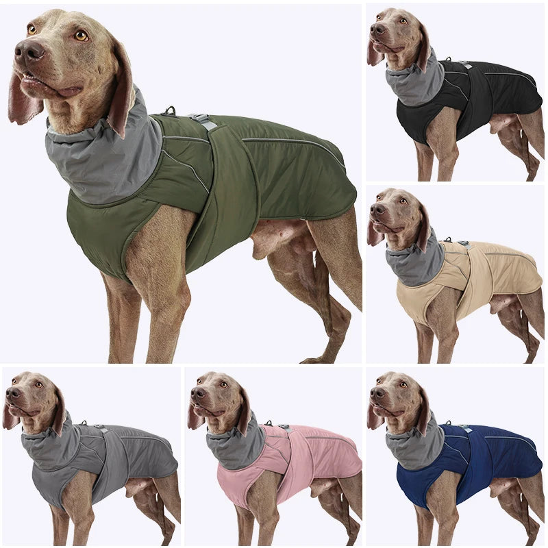 Weimaraner High collar Winter Dress