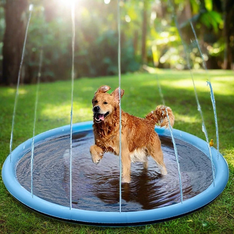 Dog Water Splash Pad