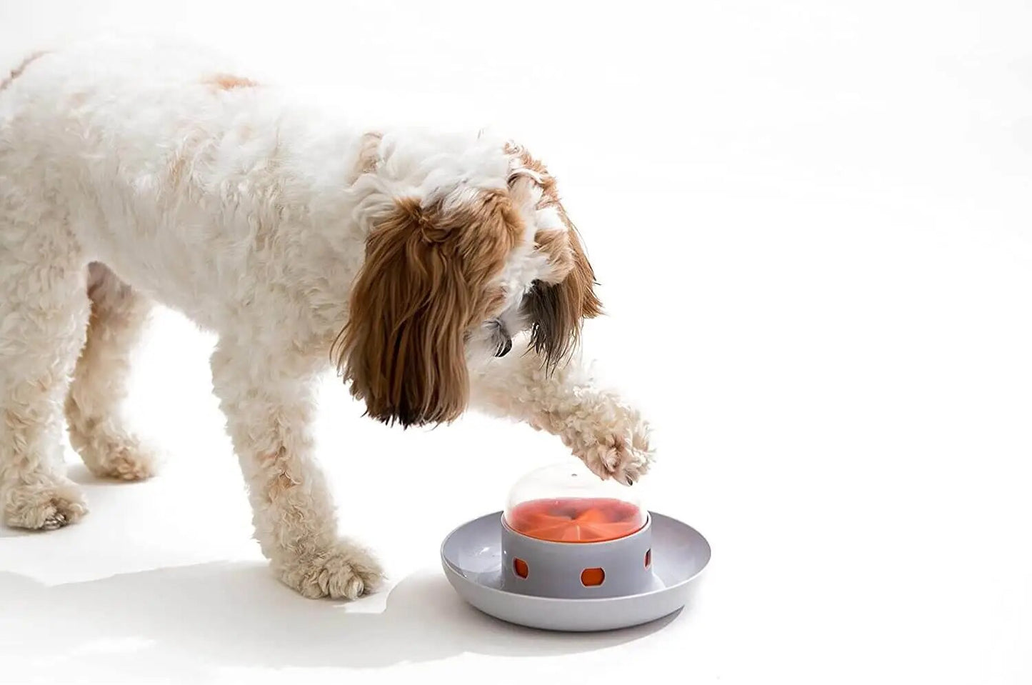 Dog Slow Feeder Bowl Toy