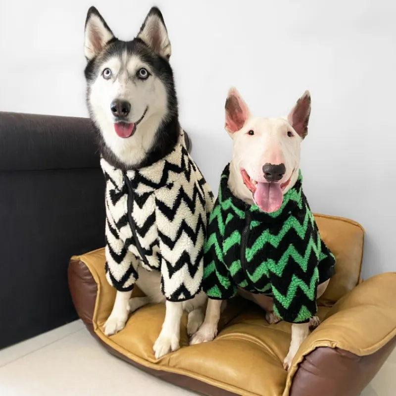 Bull Terrier Striped Winter Jacket