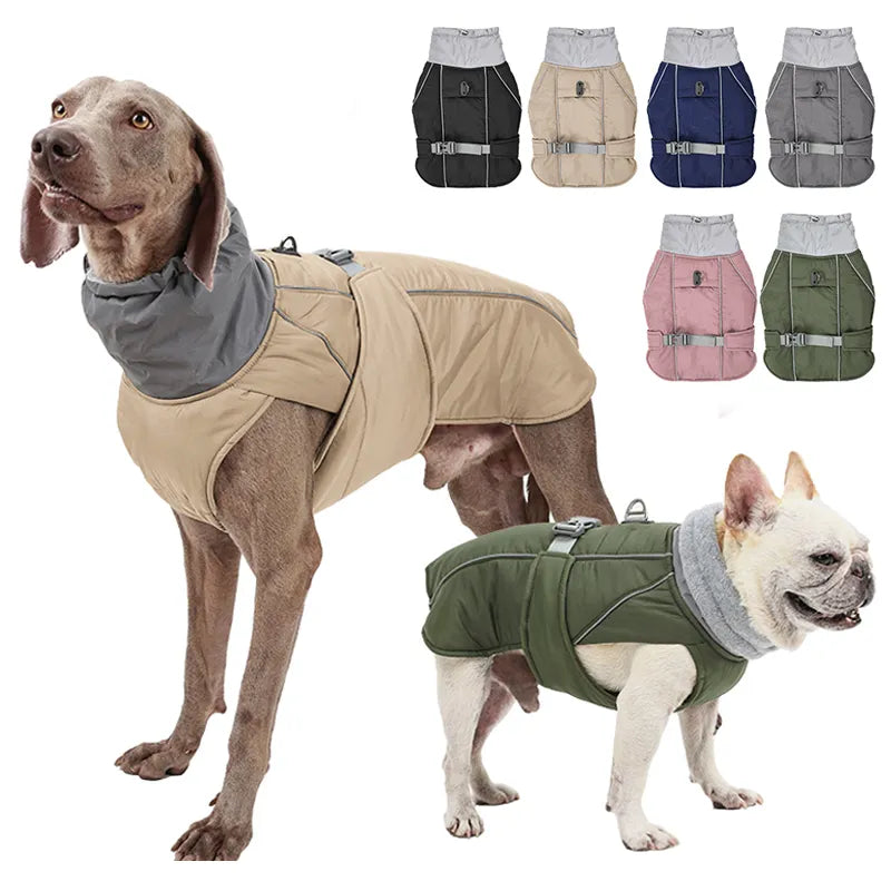 Weimaraner High collar Winter Dress