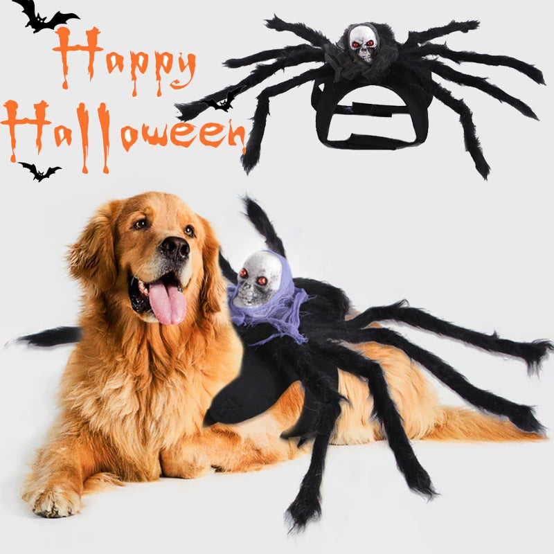 Dogs Halloween Spider Costume