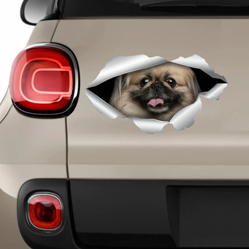 Funny Pekingese Car Sticker