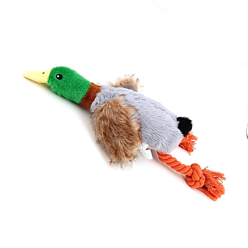 Tooth Cleaning Plushy Duck Toys