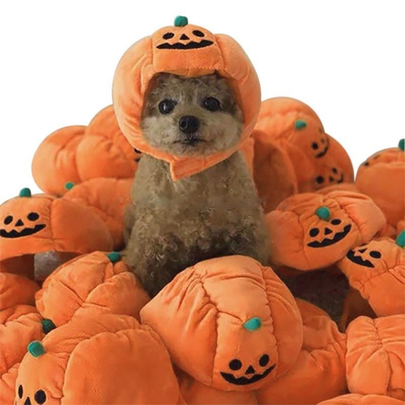 Dog Pumpkin Halloween Hat