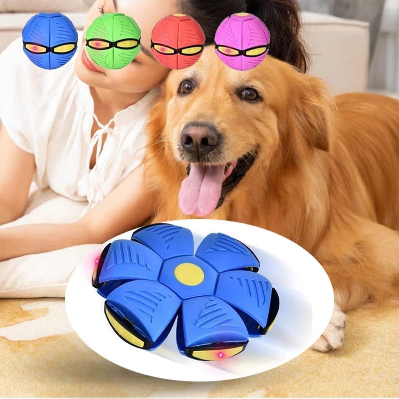 Flying Saucer Ball Dog Toy