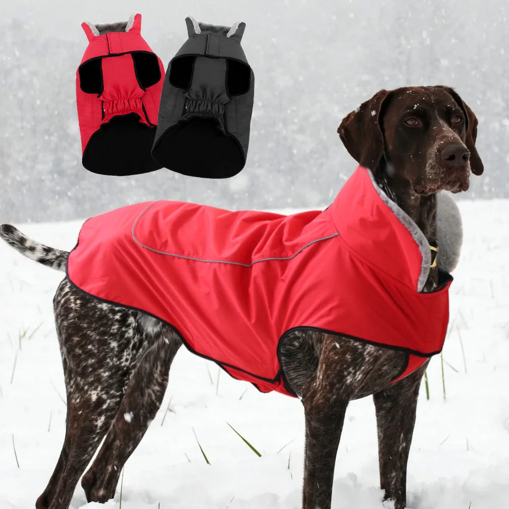 GS Pointer Winter Coat