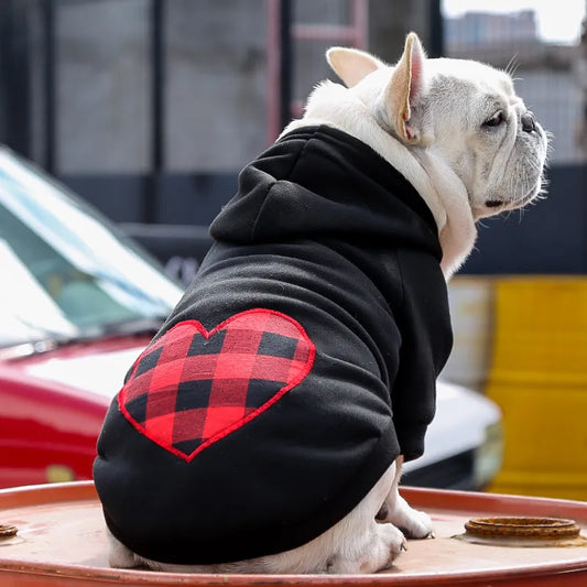 Frenchie Stylish Winter Hoodies