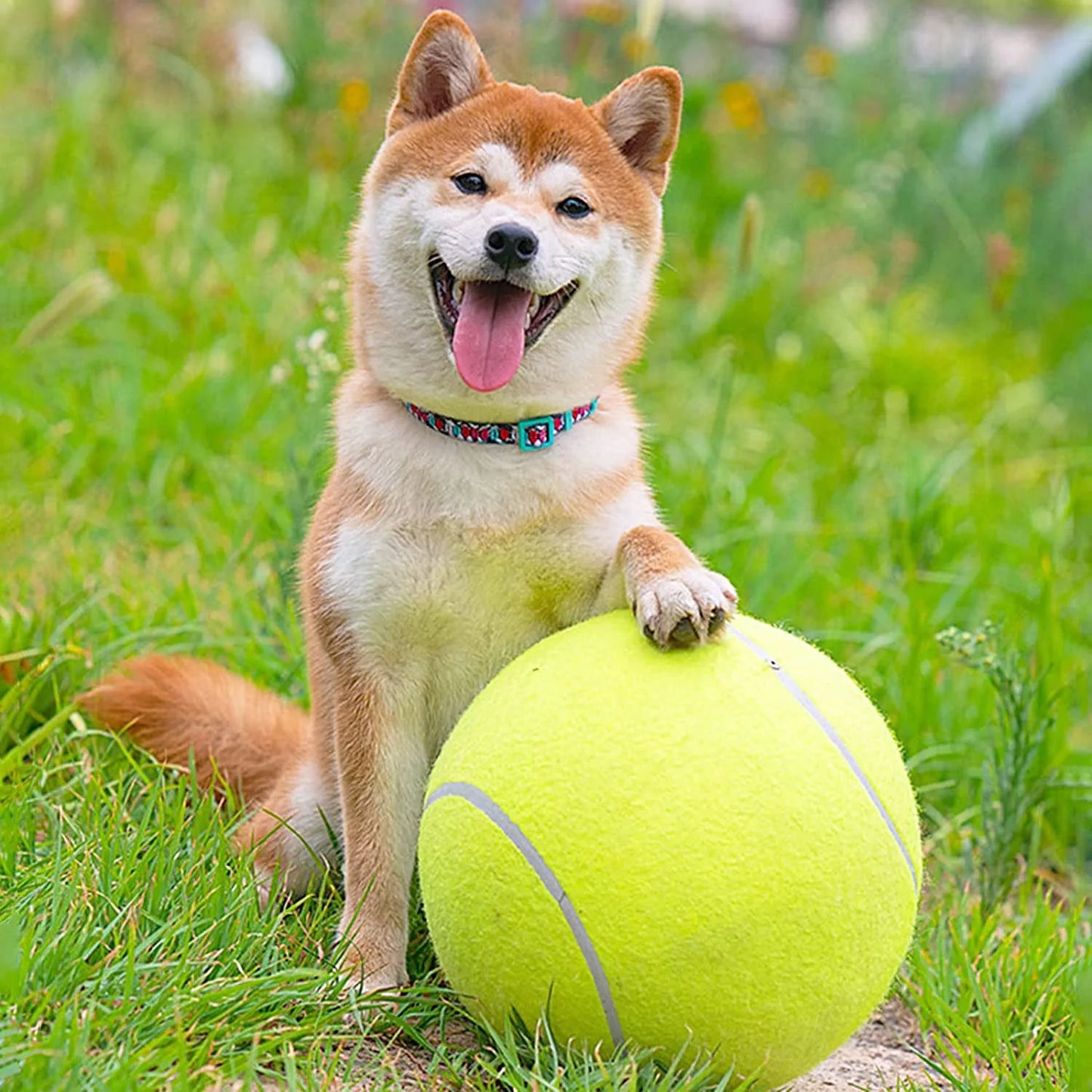 Giant Tennis Ball For Dog