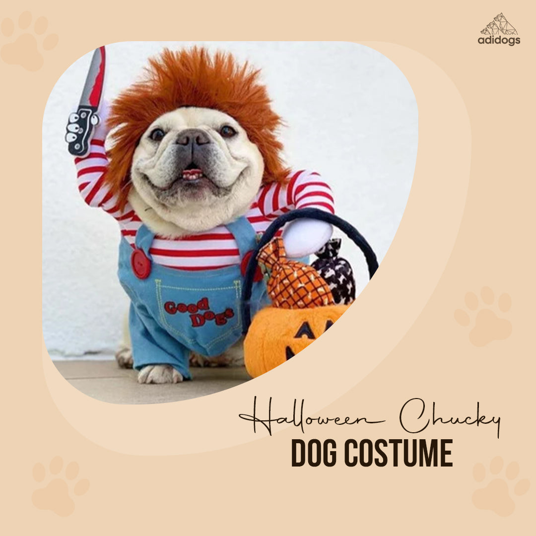 Halloween Chucky Dog Costume